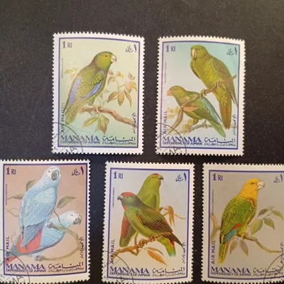 Lot Timbres oiseaux 🐦